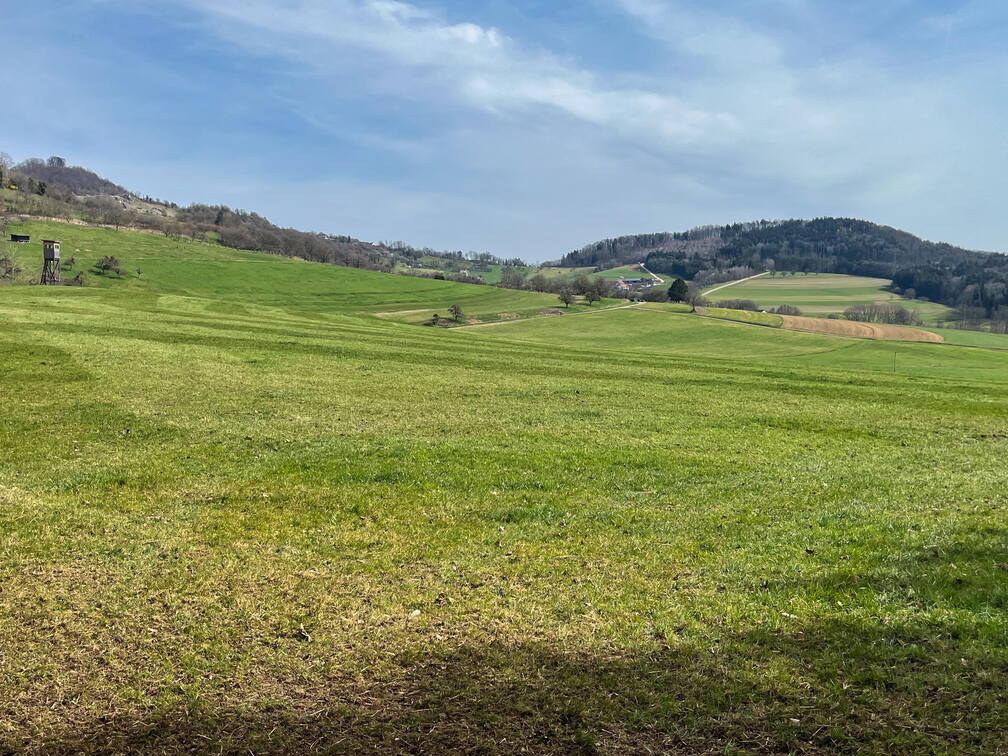 25-03-21 13-09-50 2492